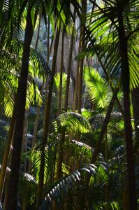 DSC_8712.JPG